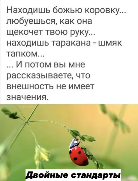 Смешная картинка №474814