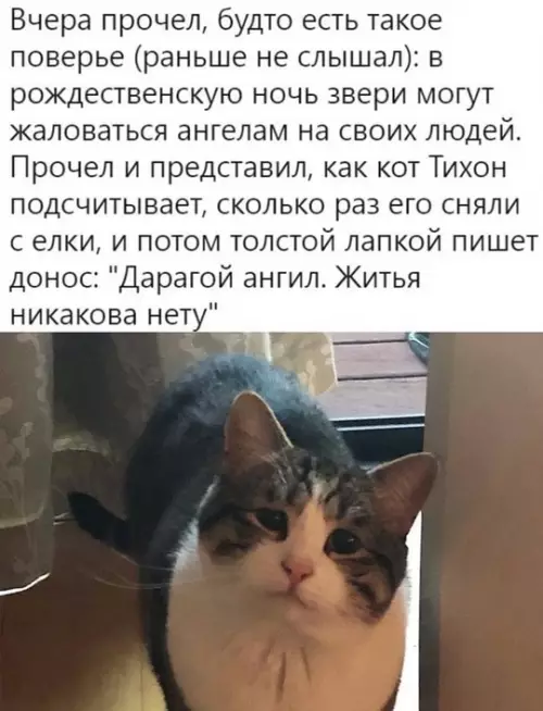 Смешная картинка №748652 Жалобно