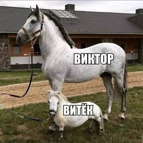 Смешная картинка №369489 .