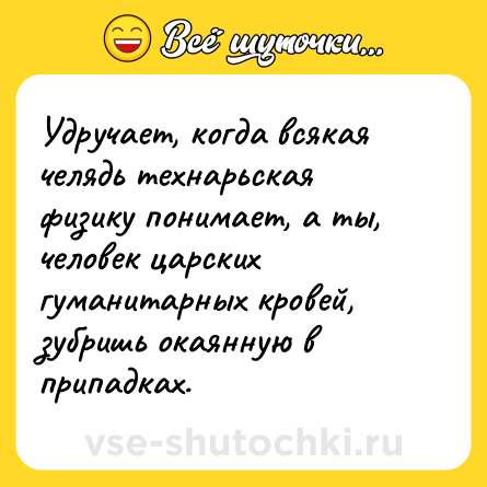 Шутка: Удручает, когда всякая челядь технарьская физику понимает, а ты, человек царских гуманитарных кровей, зубришь окаянную в припадках.