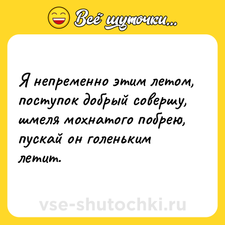 Шутка: Я непременно этим летом, поступок добрый совершу, шмеля мохнатого побрею, пускай он голеньким летит.