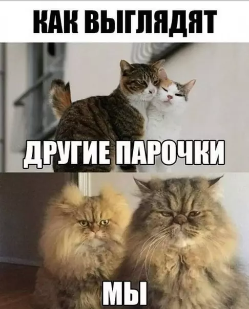 Смешная картинка №475825 Нам просто лень жить