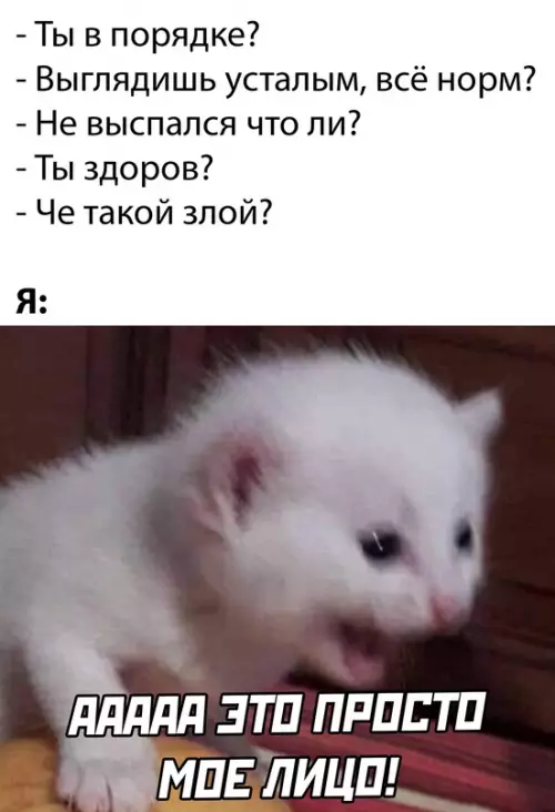 Смешная картинка №630576