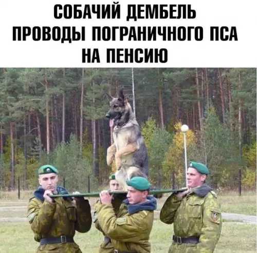Смешная картинка №267893