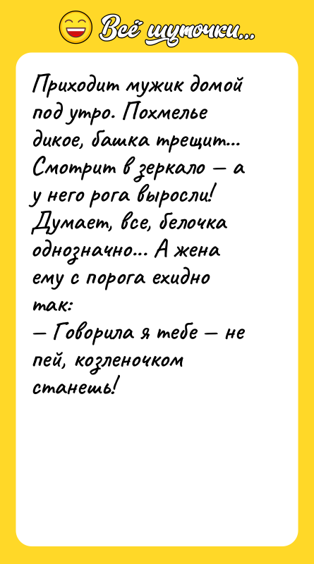 Приходит мужик домой под утро. Похмелье дикое, башка трещит... Смотрит