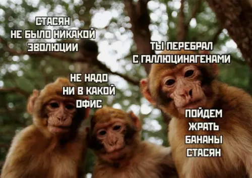 Смешная картинка №683234