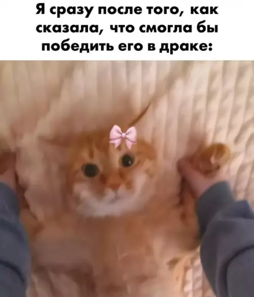 Смешная картинка №763927