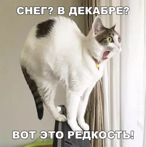 Смешная картинка №232662