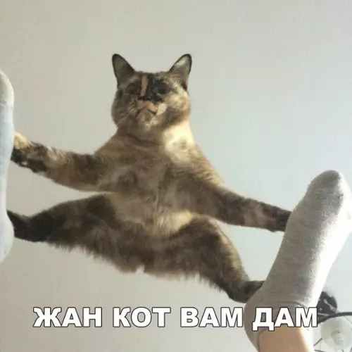 Смешная картинка №297043