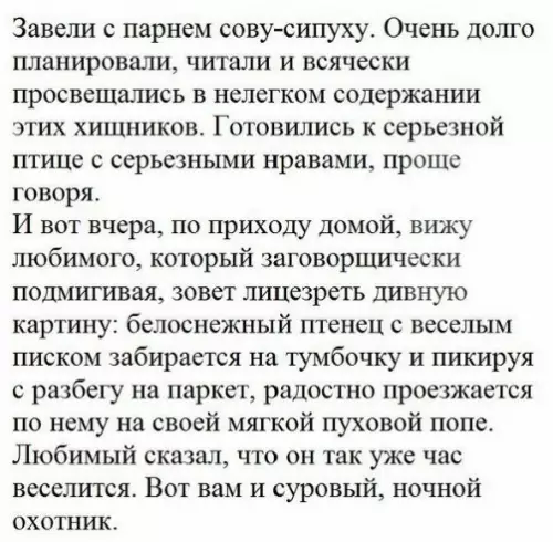 Смешная картинка №275379