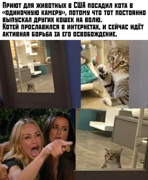 Смешная картинка №395841