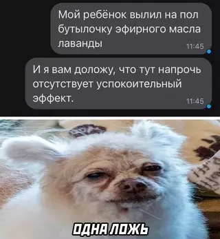 Смешная картинка №649594