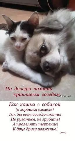 Смешная картинка №184503 ПОКАЗАТЬ ЗЛЫМ СОСЕДЯМ