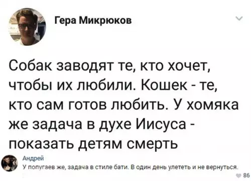 Смешная картинка №291773