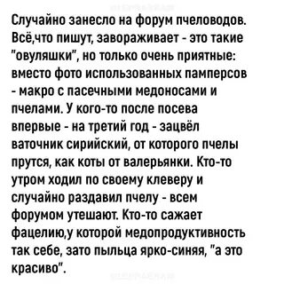 Смешная картинка №716895
