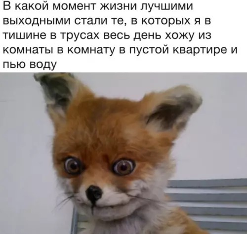 Смешная картинка №292291