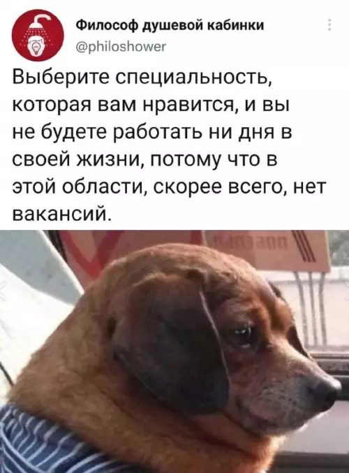 Смешная картинка №708099