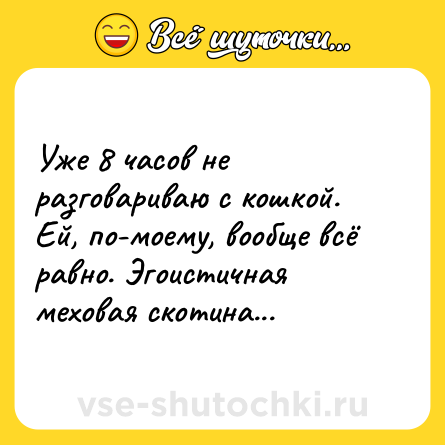 Шутка: Уже 8 часов не разговариваю с кошкой. Ей, по-моему, вообще всё равно. Эгоистичная меховая скотина...