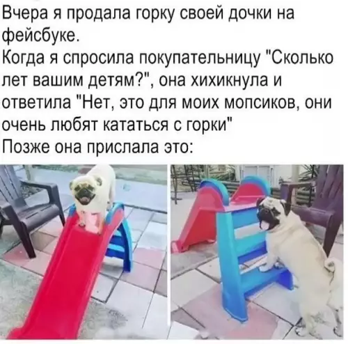 Смешная картинка №677163