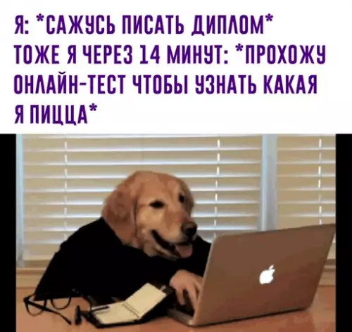 Смешная картинка №639881 Овощная, получается