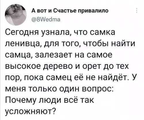 Смешная картинка №650242