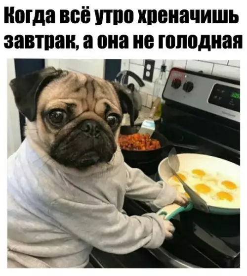 Смешная картинка №215384