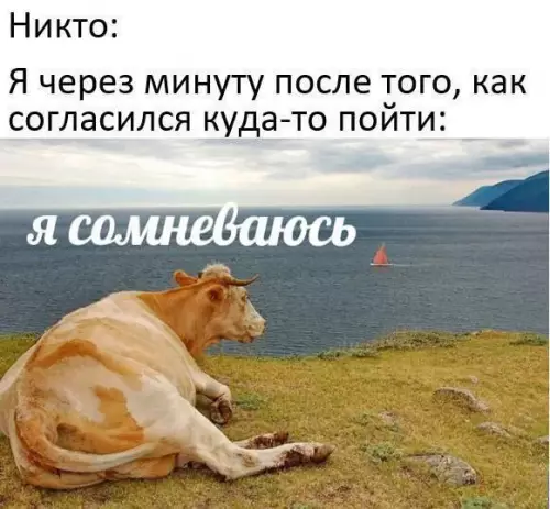 Смешная картинка №711612