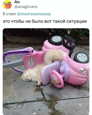 продолжение Смешная картинка №720248 Теперь понятно