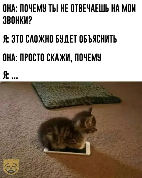Смешная картинка №474379 #приколы #картинки #мемы ?