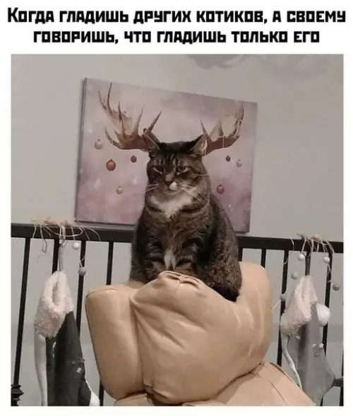 Смешная картинка №423783