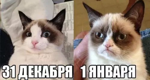 Смешная картинка №232366