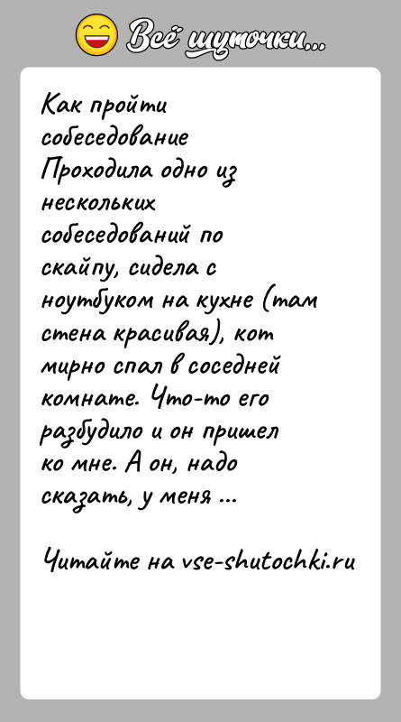 История: Как пройти собеседованиеПроходила одно из нескольких собеседований по скайпу, сидела с ноутбуком на кухне (там стена красивая), кот мирно спал