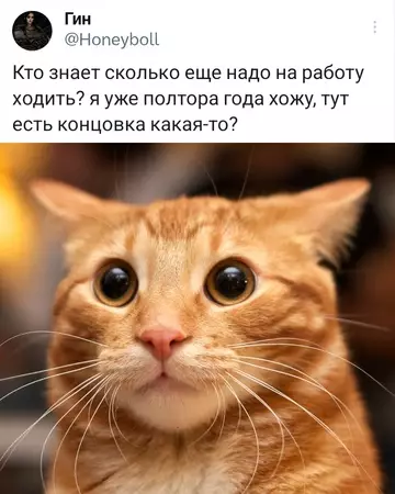 Смешная картинка №740085