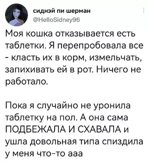 Смешная картинка №675451 Кошки