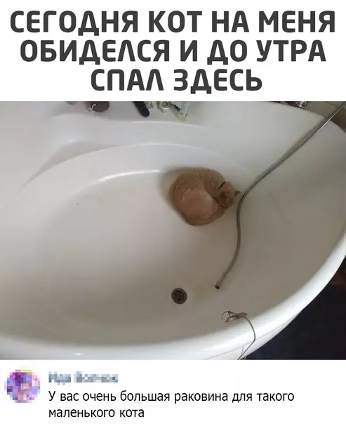 Смешная картинка №553651