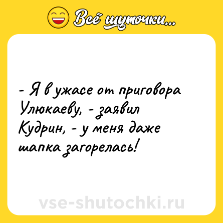 Шутка: - Я в ужасе от приговора Улюкаеву, - заявил Кудрин, - у меня даже шапка загорелась!