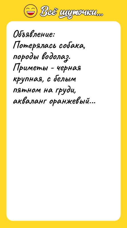 Объявление: Потерялась собака, породы водолаз. Приметы - черная крупная, с