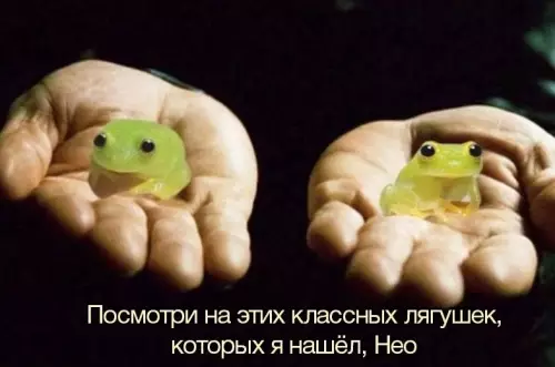 Смешная картинка №699039