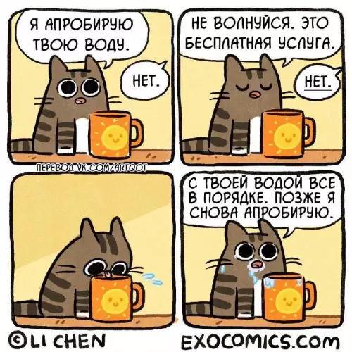 Смешная картинка №717803 Спасибо, мистер кот Коты