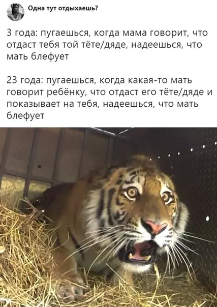 Смешная картинка №316903