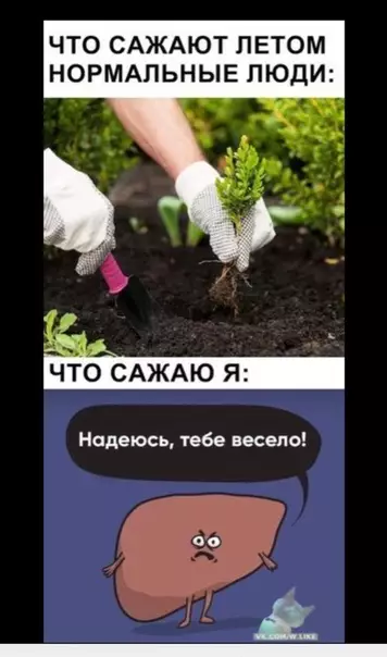 Смешная картинка №364135