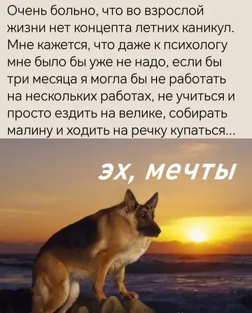 Смешная картинка №764765