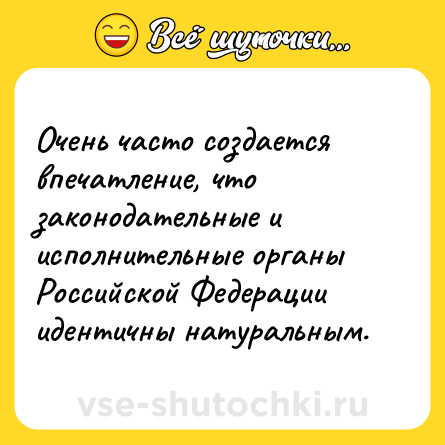Шутка: Очень часто создается впечатление, что законодательные и исполнительные органы Российской Федерации идентичны натуральным.
