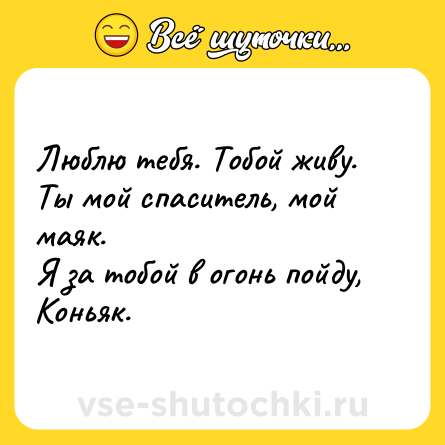 Шутка: Люблю тебя. Тобой живу.<br>Ты мой спаситель, мой маяк. <br>Я за тобой в огонь пойду,<br>Коньяк.