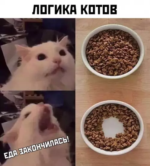 Смешная картинка №470296