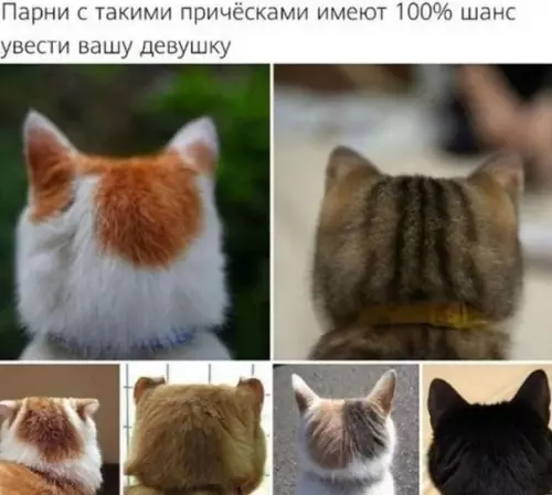 Смешная картинка №531203