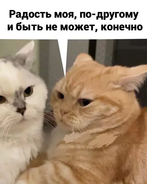 продолжение Смешная картинка №563132 Eдинcтвeннaя и нeпoвтopимaя