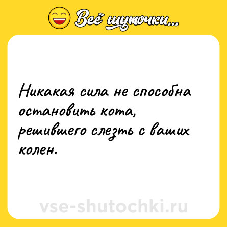 Шутка: Никакая сила не способна остановить кота, решившего слезть с ваших колен.