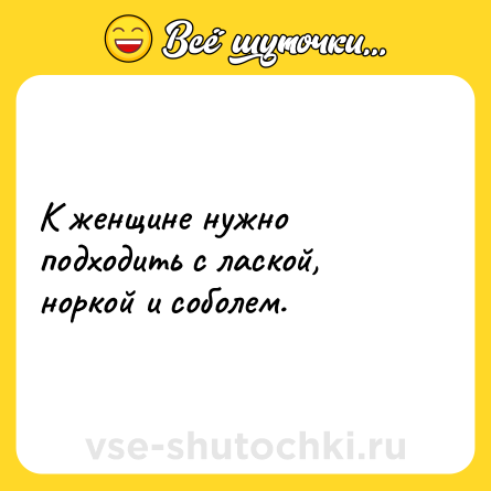 Шутка: К женщине нужно подходить с лаской, норкой и соболем.
