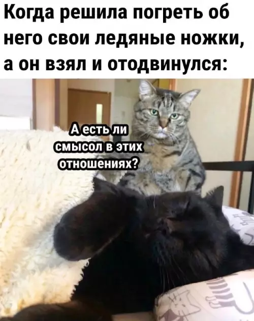 Смешная картинка №741869